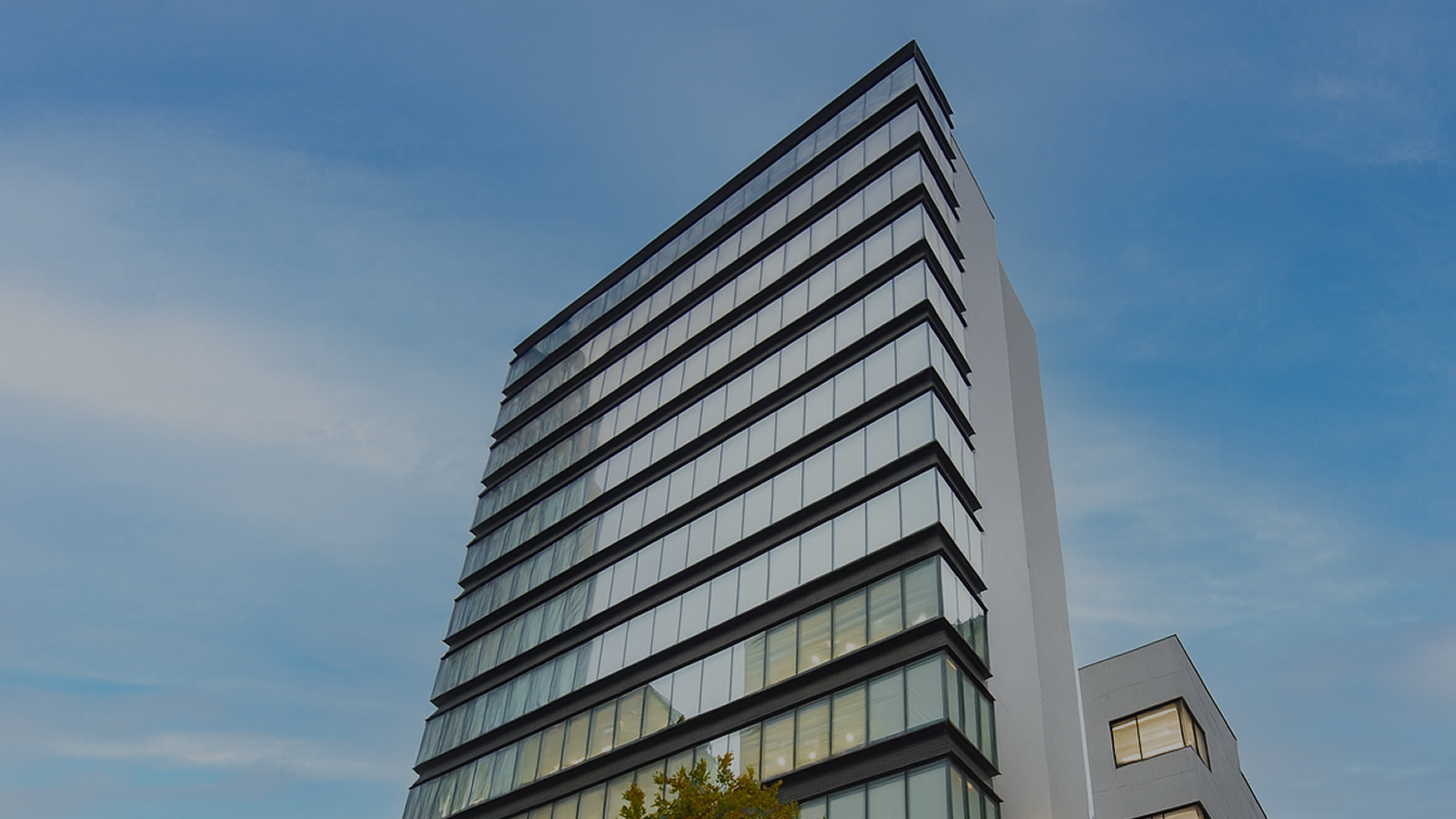 현지 법인만이 가능한,|m 세심한 맞춤형 서비스